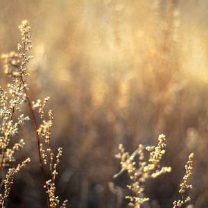 轮奸大奶骚货在线视频
